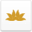 VN